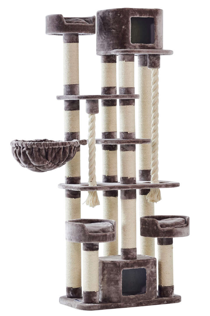 Nobby Kratzbaum Kyla